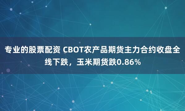 专业的股票配资 CBOT农产品期货主力合约收盘全线下跌，玉米期货跌0.86%