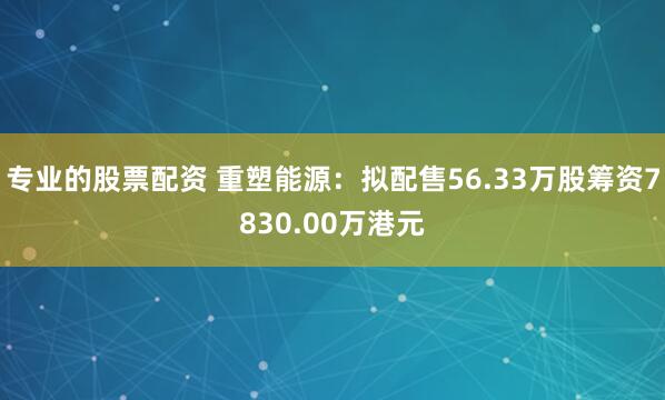 专业的股票配资 重塑能源：拟配售56.33万股筹资7830.00万港元