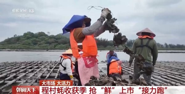 配资概念股票 大市场&#32;大活力｜“五一”假日餐桌海鲜热度揭秘&#32;生蚝如何抢“鲜”出发？