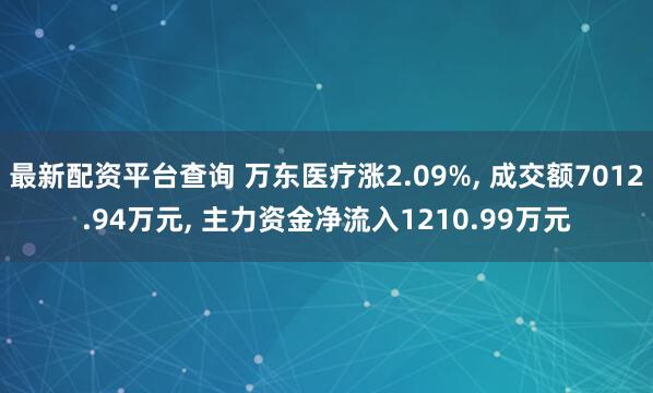 最新配资平台查询 万东医疗涨2.09%, 成交额7012.94万元, 主力资金净流入1210.99万元