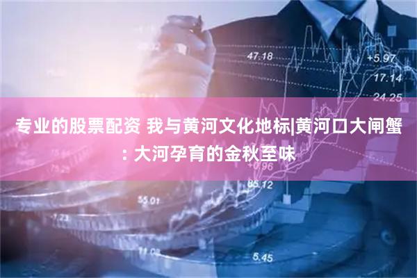 专业的股票配资 我与黄河文化地标|黄河口大闸蟹: 大河孕育的金秋至味
