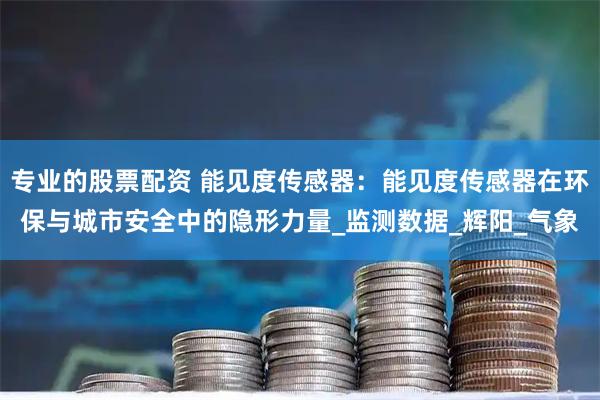 专业的股票配资 能见度传感器：能见度传感器在环保与城市安全中的隐形力量_监测数据_辉阳_气象