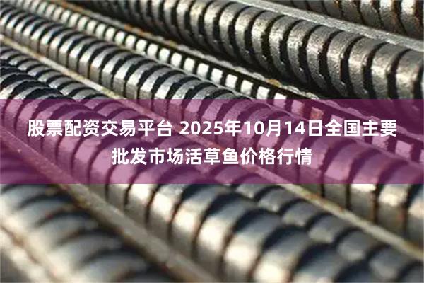 股票配资交易平台 2025年10月14日全国主要批发市场活草鱼价格行情