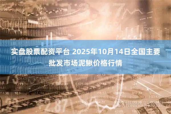 实盘股票配资平台 2025年10月14日全国主要批发市场泥鳅价格行情